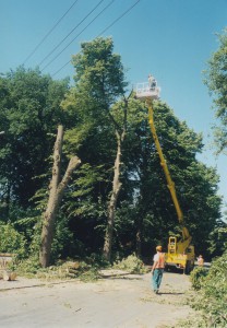 Baumfällarbeiten 2003